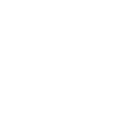 2025_MdInfoNet_Icon Sets-white_Access Information White information icon